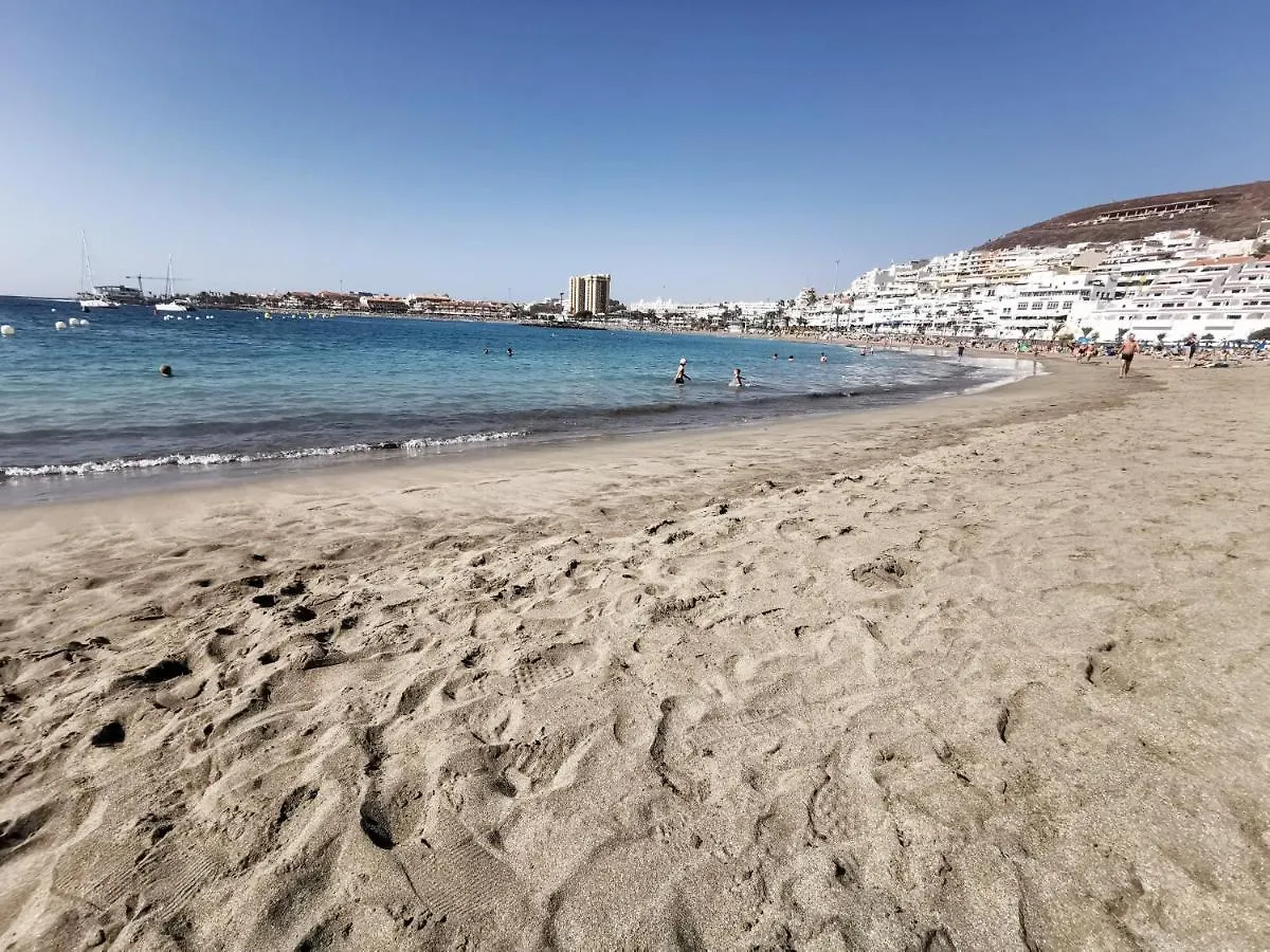 Home2Book Los Cristianos, Pool & Beach Los Cristianos  0*, Los Cristianos (Tenerife) Spagna